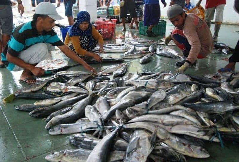 Ilustrasi tempat pelengan ikan.