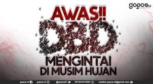 Waspada! DBD Mengintai di Musim Penghujan