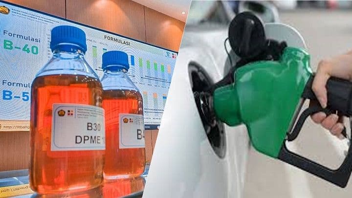 Biodiesel B50 berlaku, penyerapan Sawit Rakyat Kaltim diproyeksikan naik.
