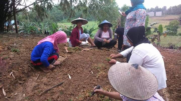 Kaltim usulkan tiga desa sebagai nominator Desa Antikorupsi dari KPK. Foto: Ilustrasi