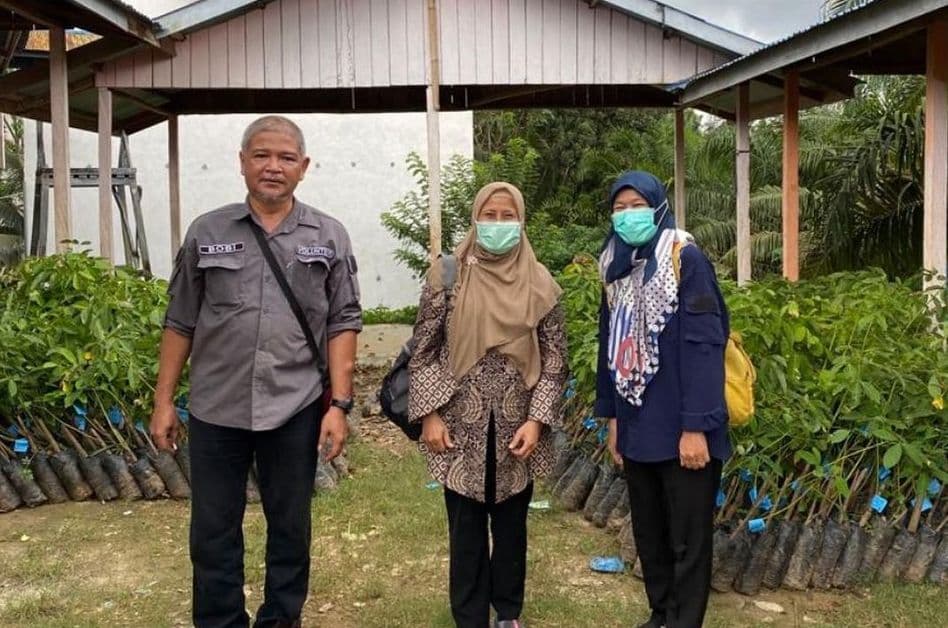 100 hektare lahan karet masuk program peremajaan