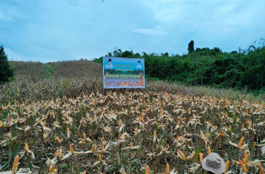 Dinas Perkebunan Kaltim meningkatkan kompetensi petugas pendamping perkebunan. Foto: Arsip/Ibukotakini.com