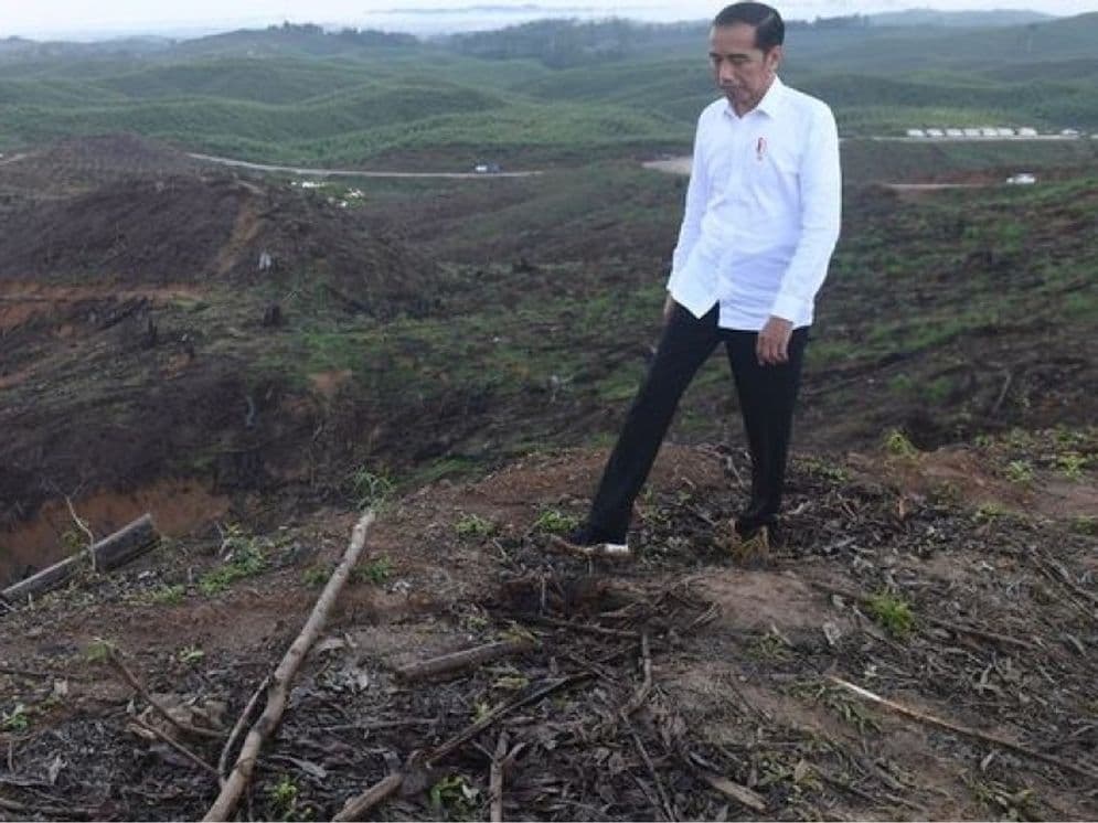 Presiden Joko Widodo saat meninjau lokasi ibu kota negara (IKN) Nusantara di Kalimantan Timur. Hari ini, Jokowi kembali dijadwalkan berkunjung ke lokasi IKN. 