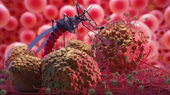 Ilustrasi malaria