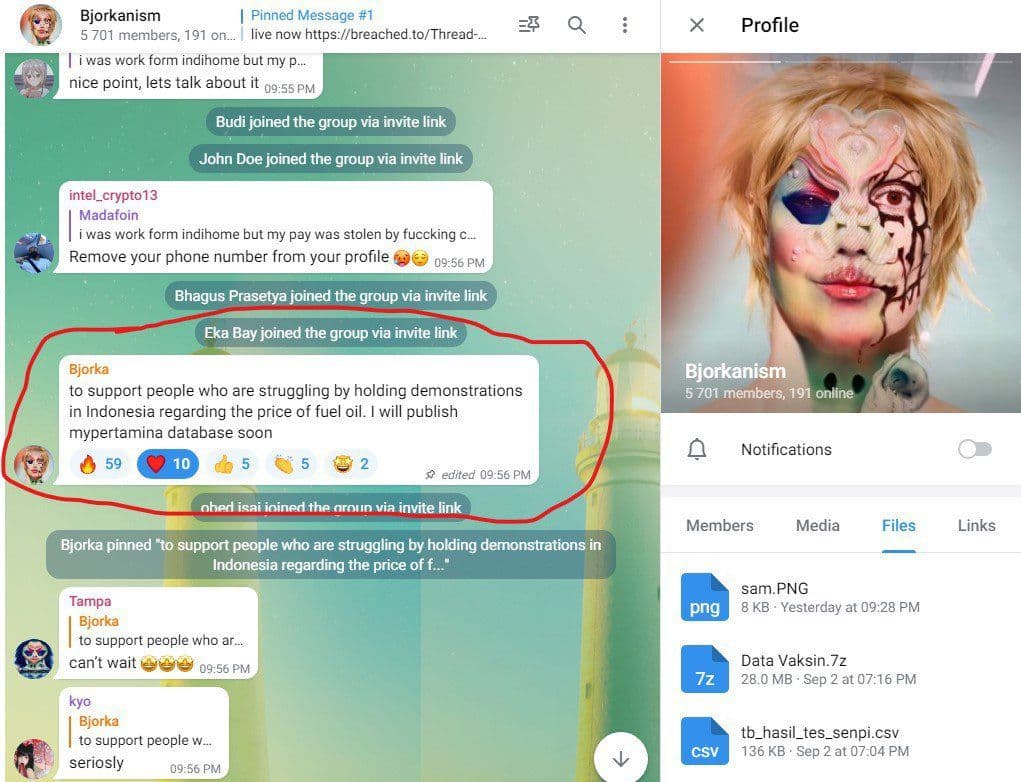 Tangkapan layar grup diskusi Bjorkanism yang memuat dukungan hacker Bjorka atas protes kenaikan harga BBM di Indonesia. Foto: Twitter