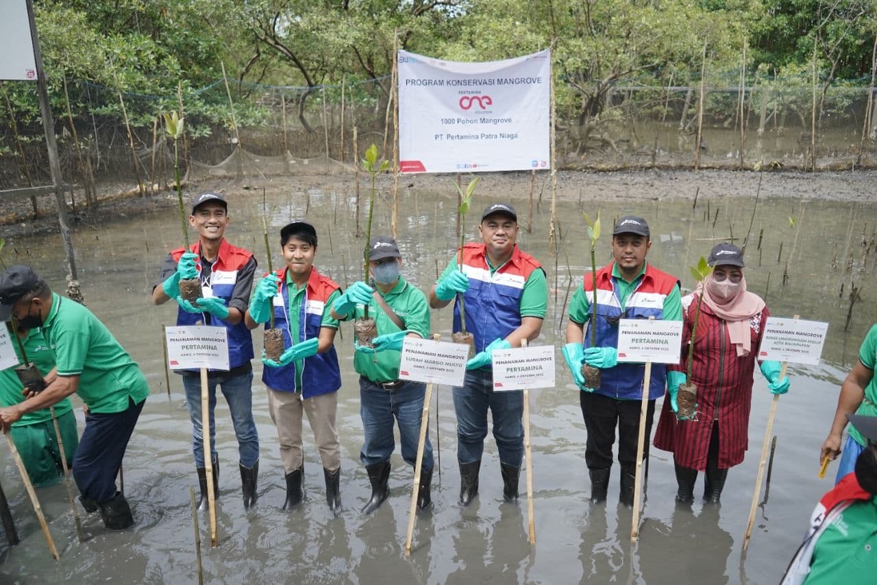 Perkaya Keanekaragaman Hayati, Pertamina Tanam 1000 Mangrove di Margomulyo