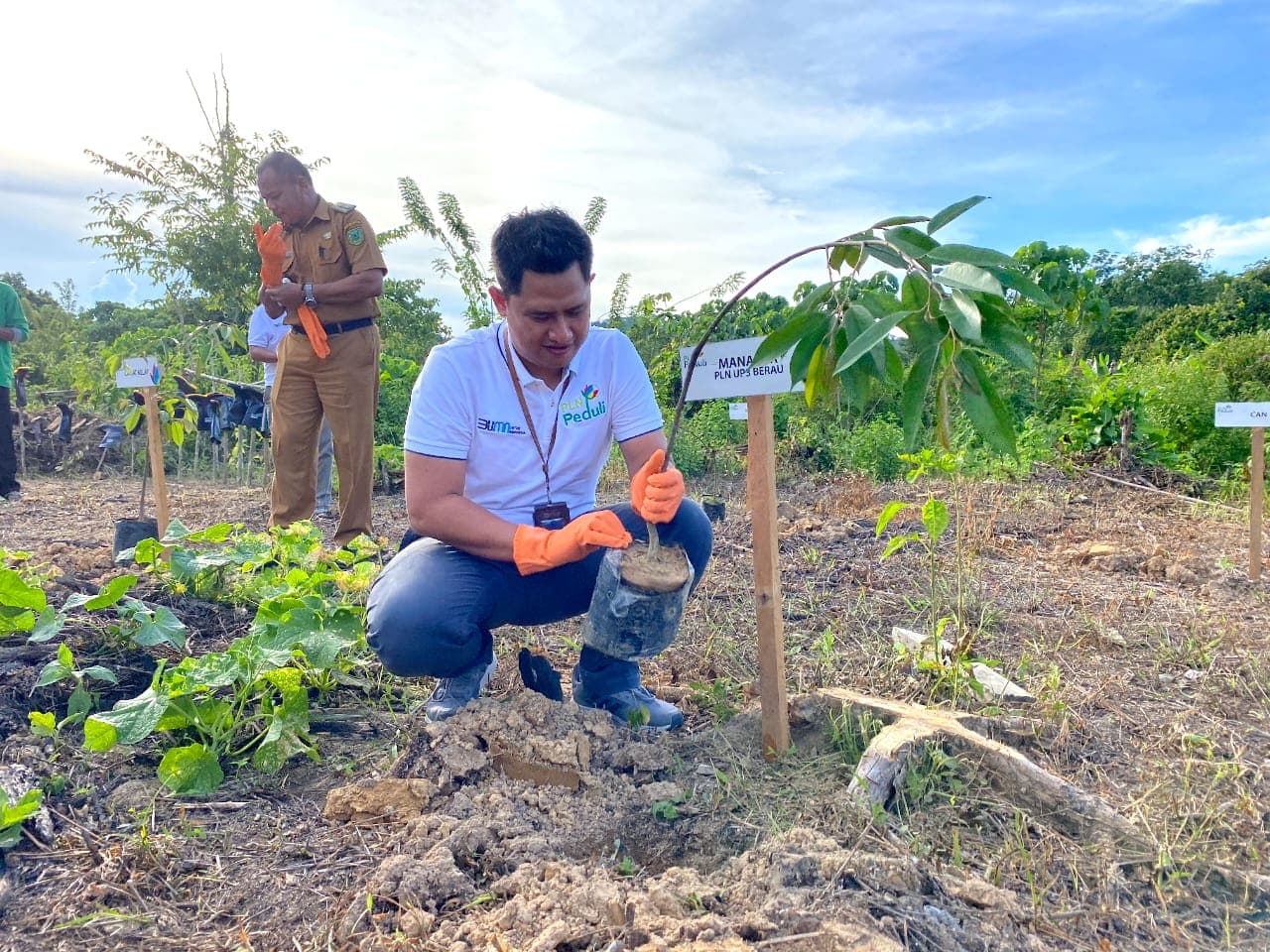 Dukung Pelestarian Alam, PLN Tanam 12 Ribu  Pohon 