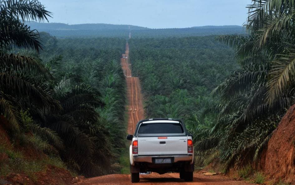 Sebuah kendaraan melintas di areal perkebunan sawit. Sejak tahun 2012 Pemprov Kaltim melarang angkutan sawit dan batu bara melintasi jalan umum. Saat ini pemerintah sedang merancang perubahan aturan. 