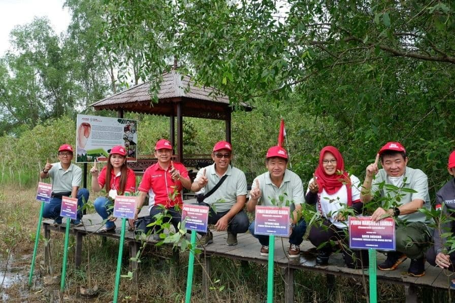 Lestarikan Habitat Bekantan, Yayasan AHM Tanam Seribu Mangrove 