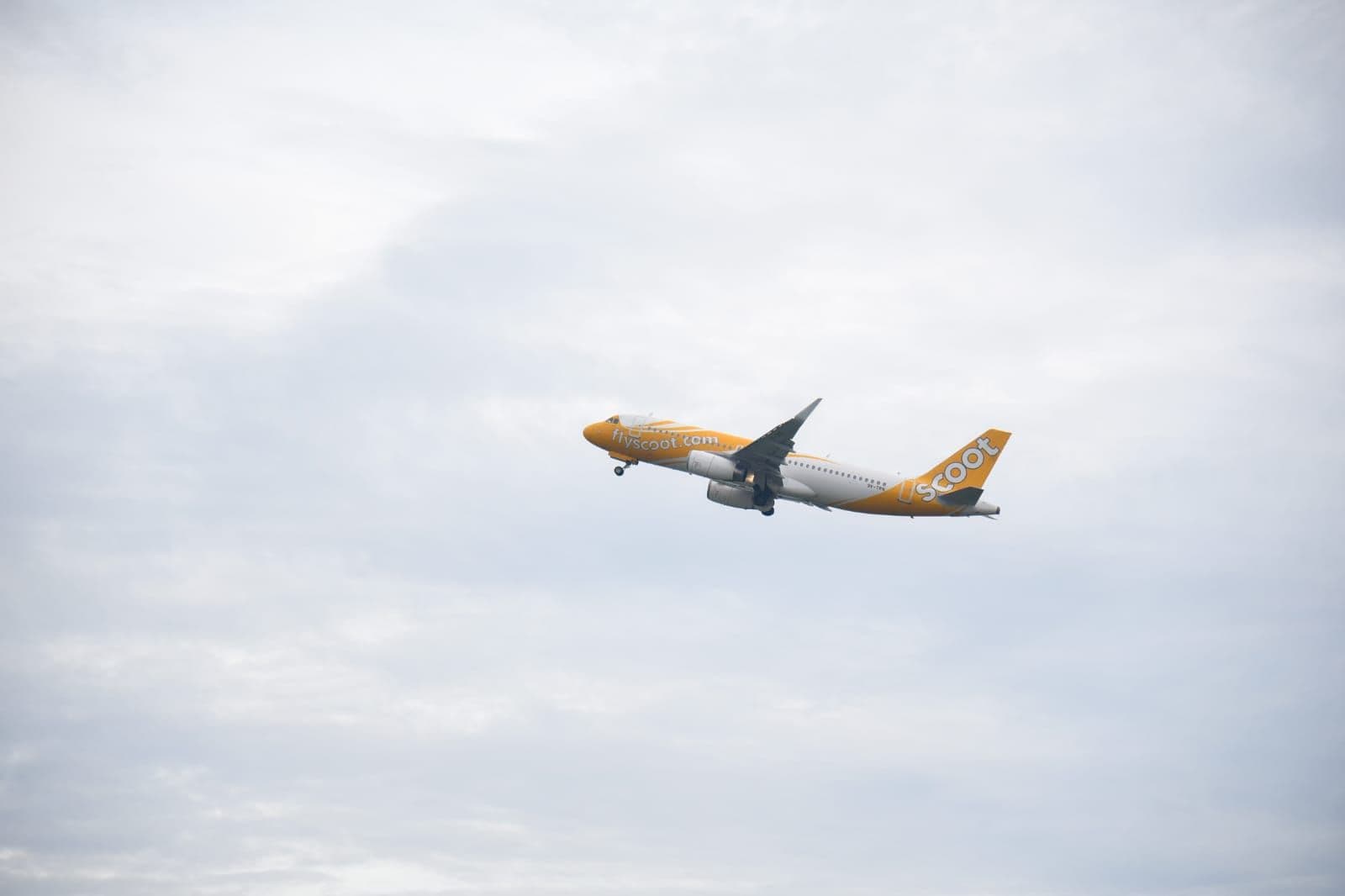 Pembukaan rute baru ini menggunakan maskapai Scoot Airlines rute Balikpapan - Singapura berangkat pukul 17.15 Wita dan Singapura-Balikpapan berangkat pukul 14.00 Wita menggunakan pesawat Airbus-320 dengan frekuensi penerbangan tiga kali dalam seminggu pada hari Senin, Rabu dan Jumat