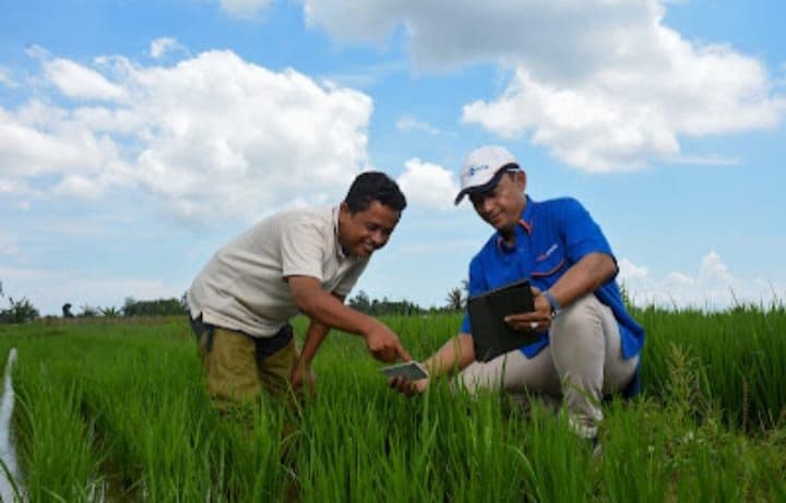 Masuki Musim Tanam Maret, Pupuk Kaltim Pastikan Stok Pupuk Aman 