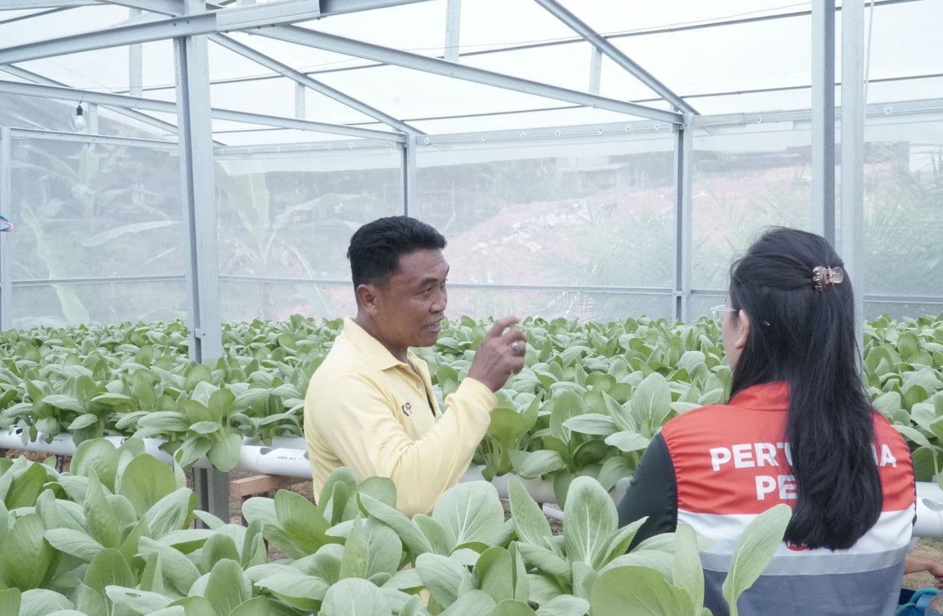 Dorong Pemberdayaan Budidaya Komoditas Pangan Hidroponik, Pertamina Salurkan TJSL di PPU