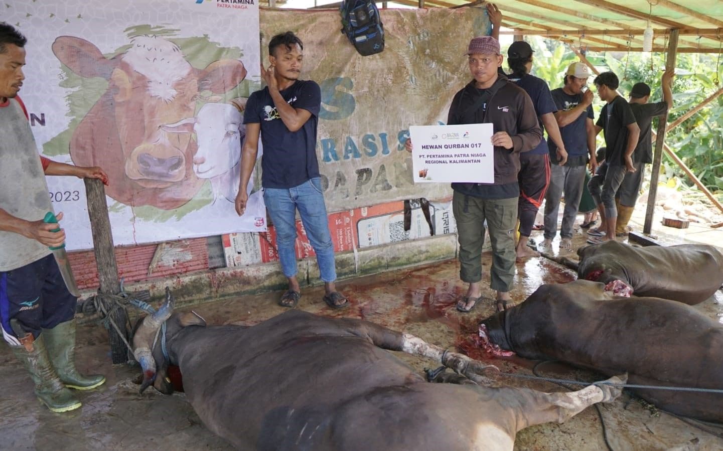 Tebarkan Kebaikan di Hari Raya Idul Adha, Patra Niaga dan BDI Sembelih 119 Ekor Hewan Kurban