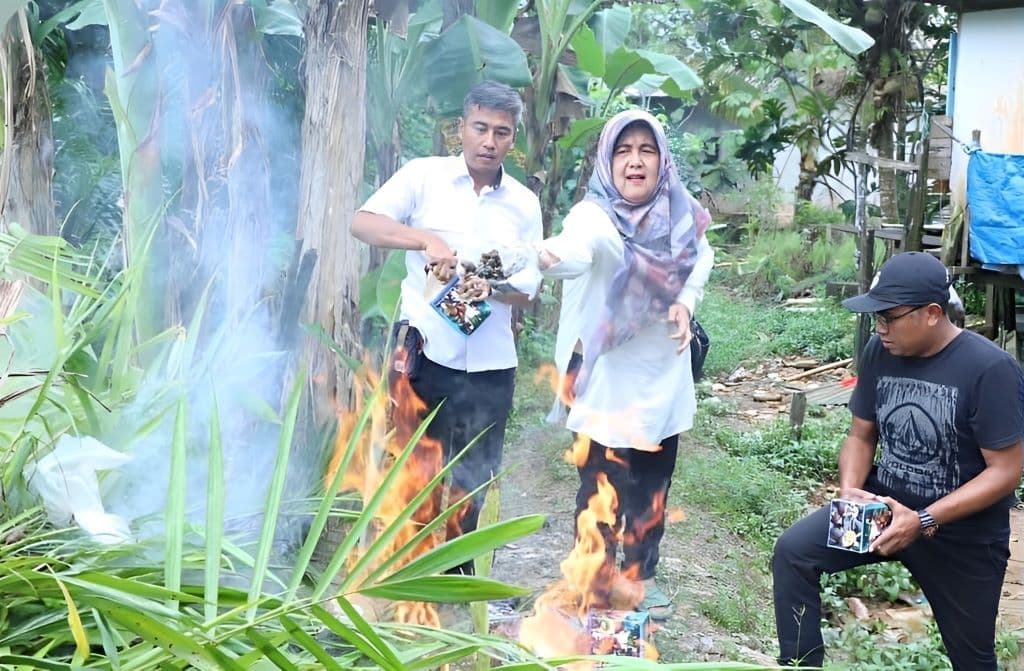 Dinas Perkebunan Kalimantan Timur memusnahkan sekitar 8000 benih sawit dan 15 kotak kecambah sawit yang tak memenuhi standar mutu. 