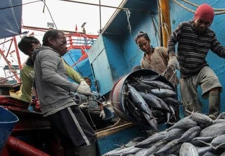 Masa Kepemimpinan Edi-Rendi, Sejahterakan Kelompok Nelayan dan Pembudidaya Ikan  