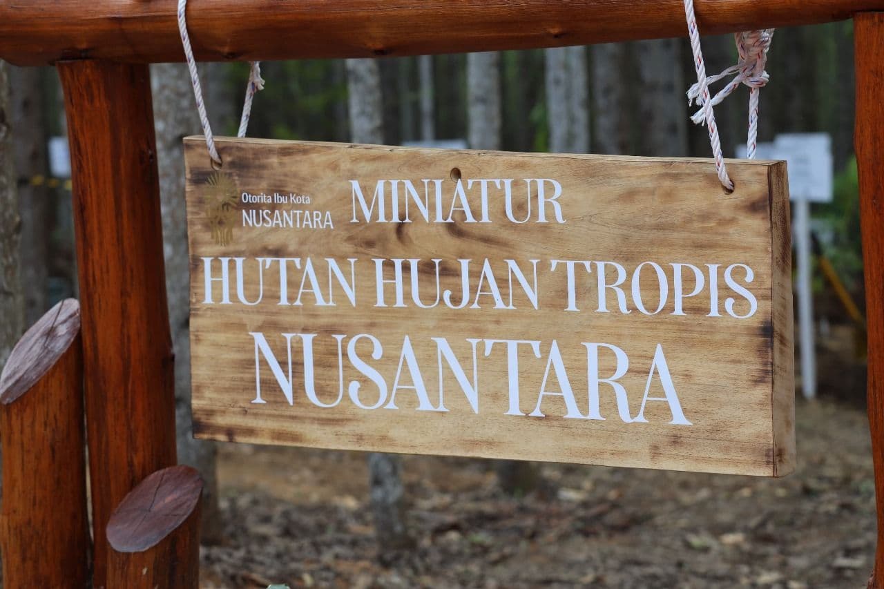 Reforestasi IKN Membangun Kota Hutan Inklusif