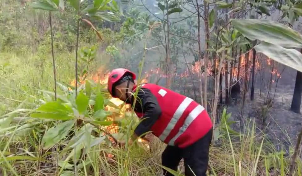 Cuaca panas yang melanda Kota Balikpapan selama beberapa hari terakhir membuat kondisi lahan kering dan mudah terbakar