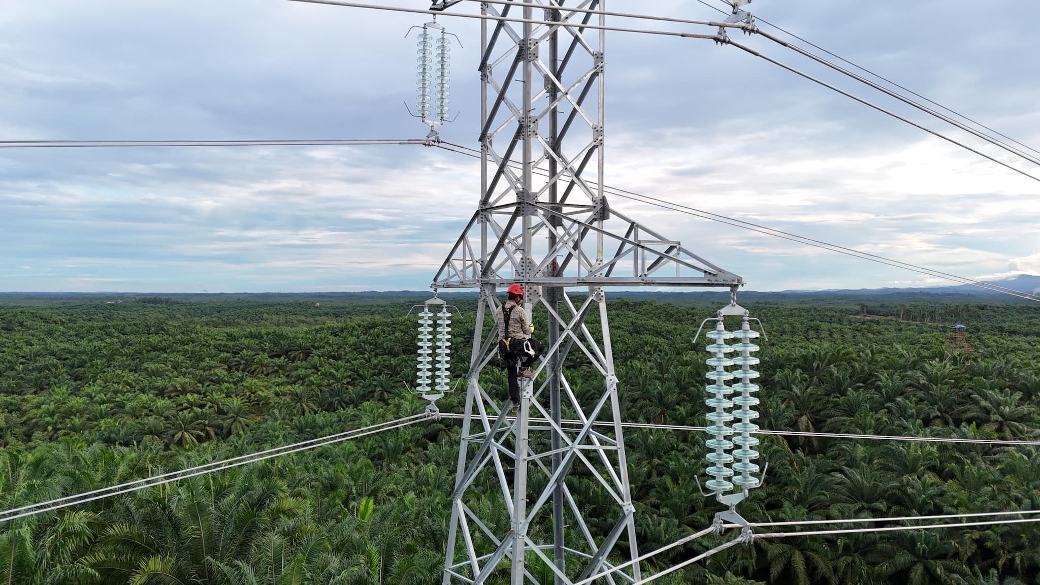 Penuhi Penyediaan Listrik di IKN, PLN UIP KLT Selesaikan 3 Infrastruktur Kelistrikan 