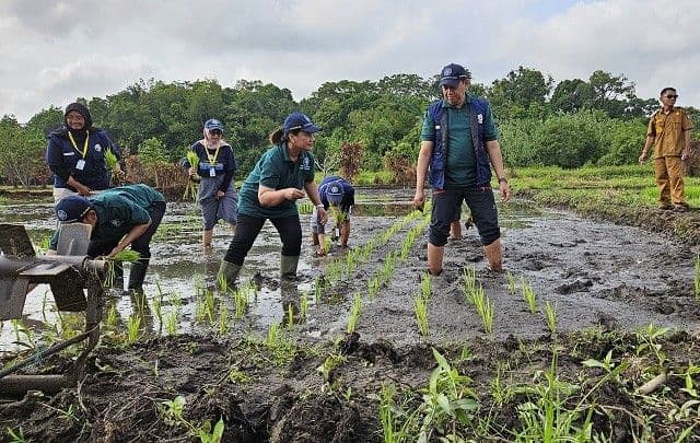 Kaltim melarang peredaran benih tanpa sertifikasi. DPTPH menegaskan benih berkualitas menentukan hingga 60 persen keberhasilan produksi pertanian. (Foto: Ilustrasi) 