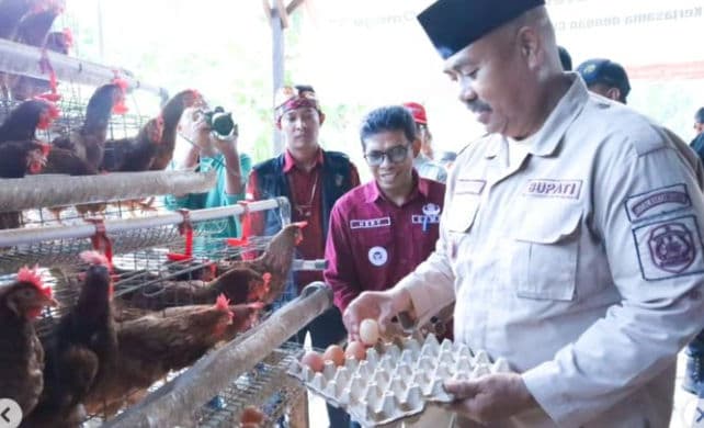 Inovatif, Telur Ayam Probiotik Hasil Bumdes Loa Duri Ilir Diluncurkan 