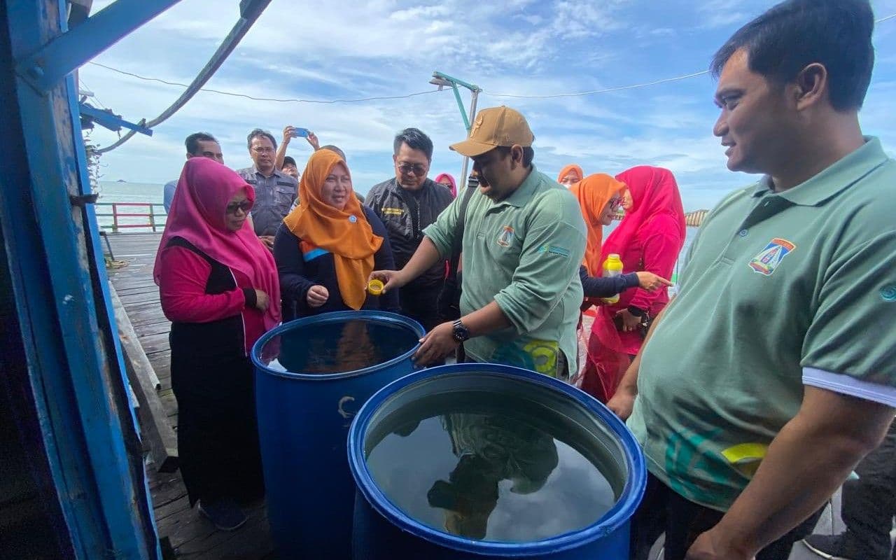 Pemberantasan Sarang Nyamuk, TP PKK dan Pemkot Balikpapan Kerja Bakti Massal  