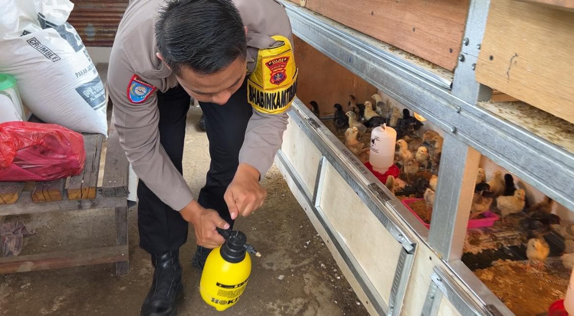 Polsek Long Kali Budidaya Ayam Kampung 