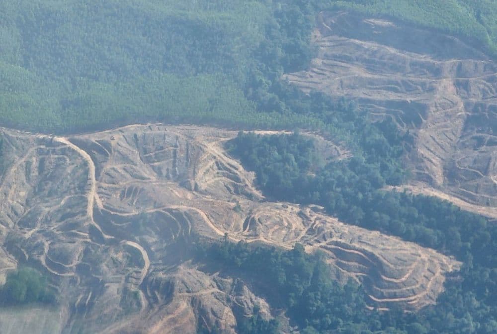 Potret lokasi tambang batu bara di wilayah Kalimantan Timur. (Ilustrasi)