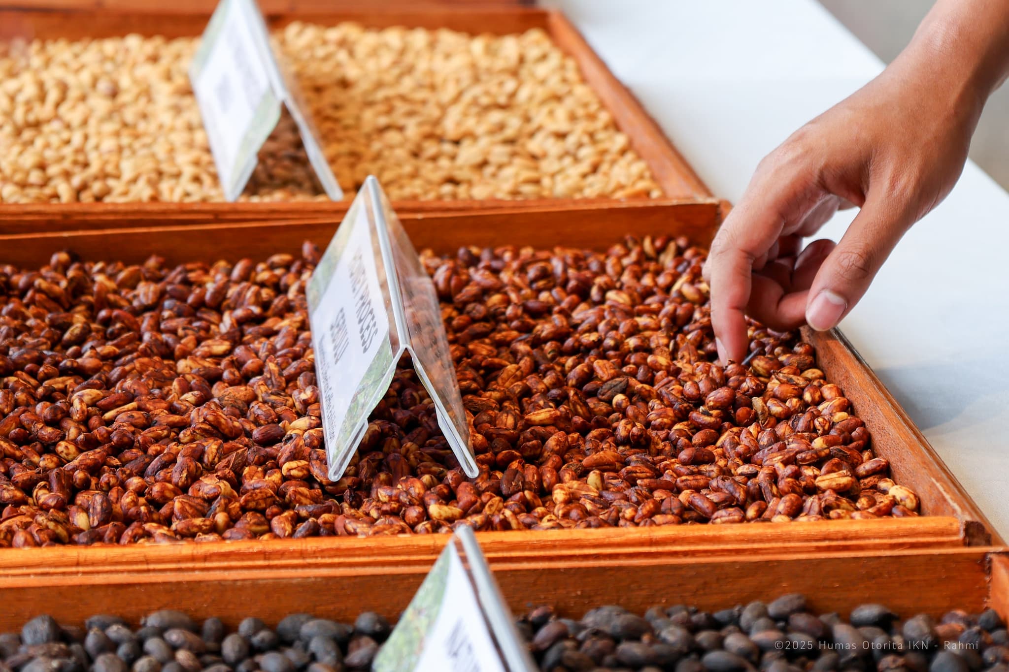 IKN Dorong Kopi Liberika Jadi Ikon Baru Indonesia, Lahirkan 5 Rencana Aksi Nasional