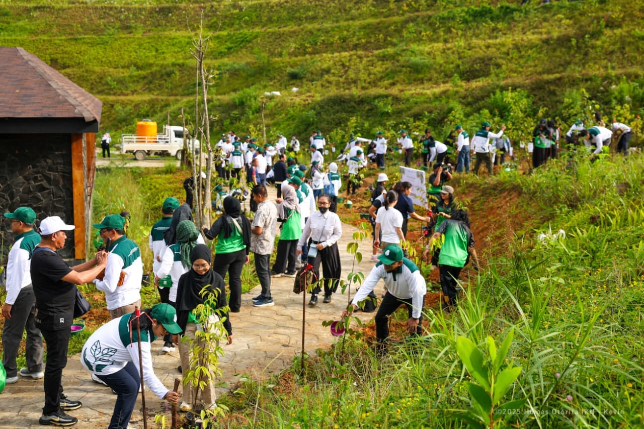 400 Pohon Endemik Kalimantan Ditanam di IKN, CUPT-CRISU Tinggalkan Jejak Hijau