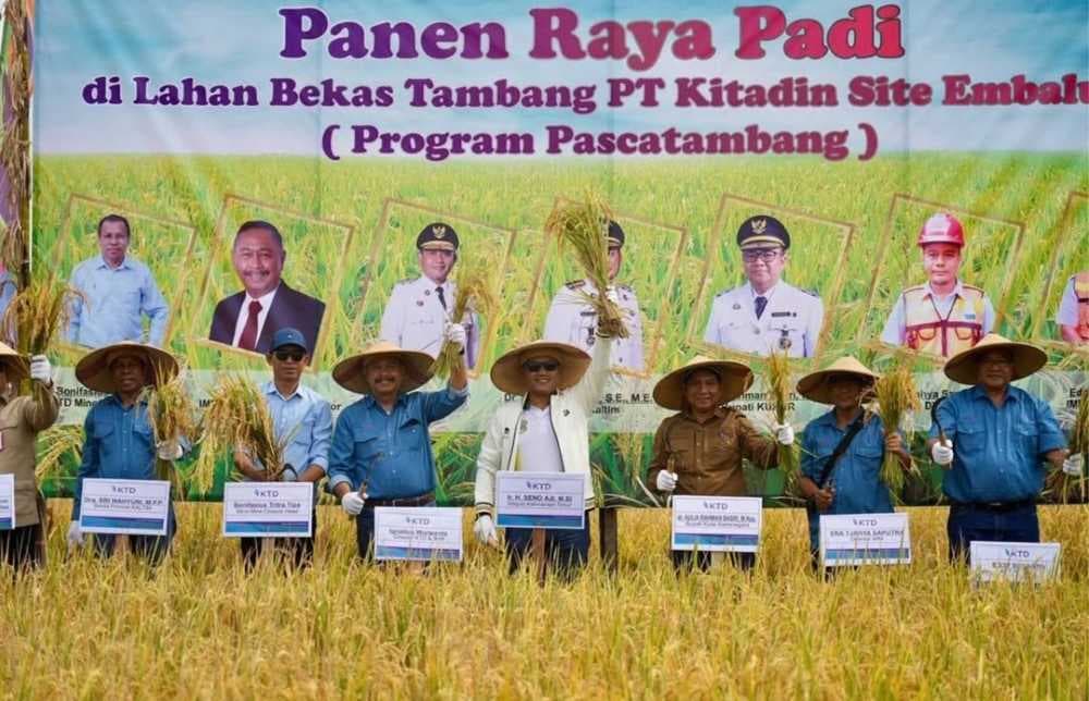 Wakil Gubernur Kaltim, Seno Aji melakukan panen raya padi di lahan bekas tambang PT Kitadin Site Embalut, Kecamatan Tenggarong Seberang, Kabupaten Kutai Kartanegara, Sabtu 30 Agustus 2025. (Adpimprov/Arief M)