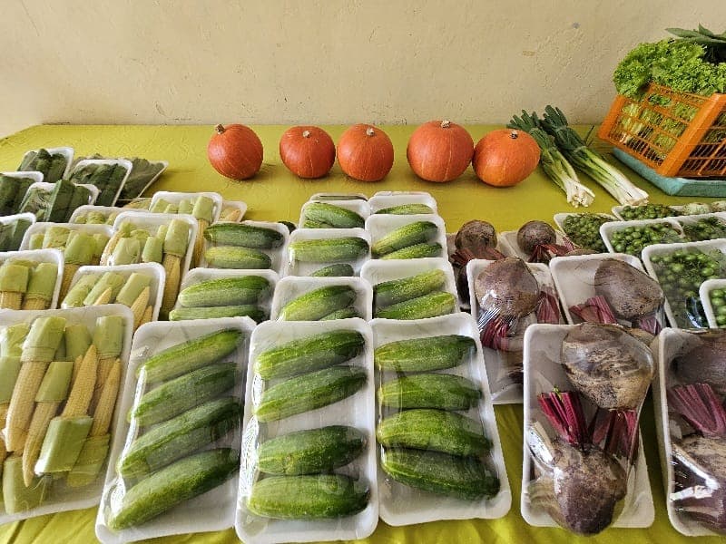 Sayuran yang sudah dikemas oleh UMKM Agribisnis Aspakusa Boyolali, siap dikirim ke retail modern di Jawa Tengah dan Jawa Timur. 