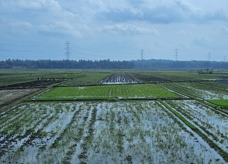 Percepatan cetak sawah rakyat menjadi kunci Kalimantan Timur mengejar target swasembada pangan di tengah keterbatasan lahan pertanian.