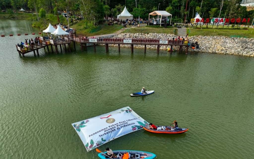 IKN Raih Rekor Dunia MURI, Tanam 1.010 Pohon Liberika  
