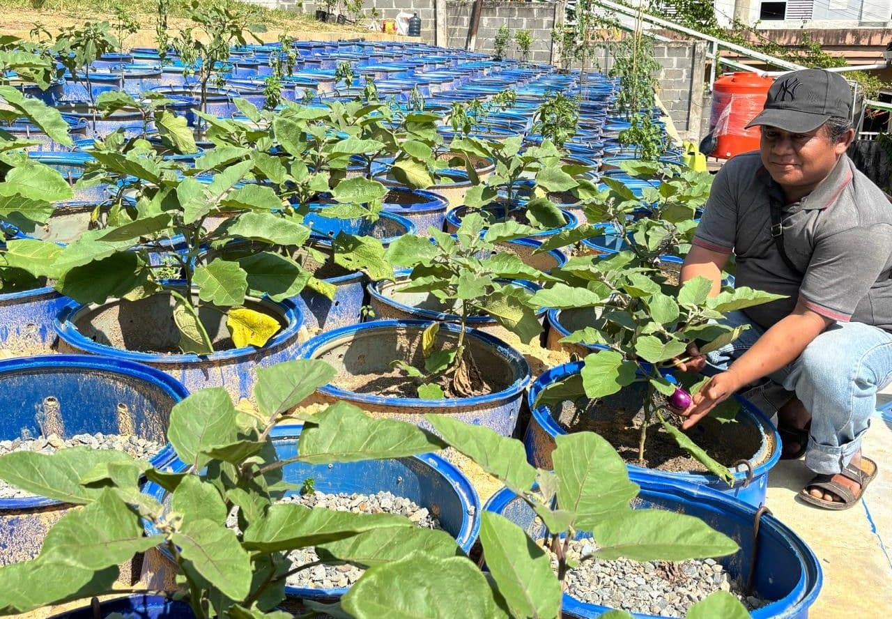 Drum Penyelamat dari Lereng Kaliandra