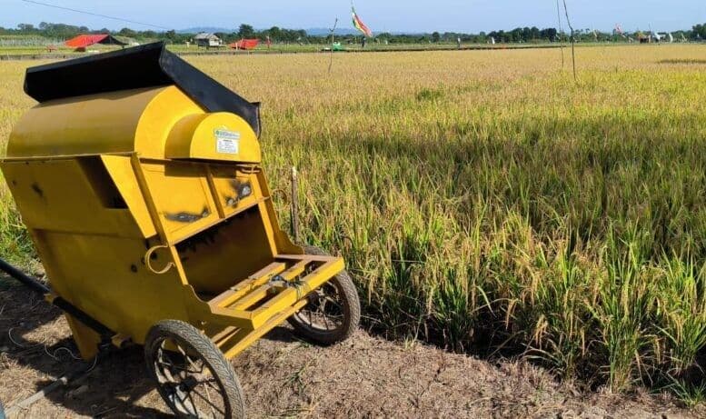 Produktivitas sawah di Kabupaten Kutai Timur meningkat dari 3 ton gabah per hektar, menjadi 5 ton gabah per hektar. (Foto: Prokutim)