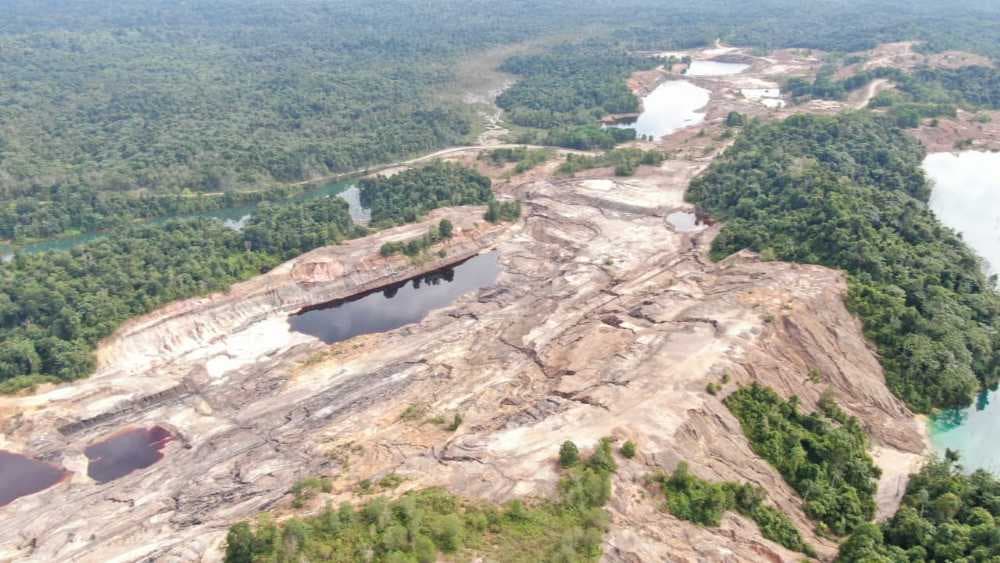 Wajah bopeng hutan di Kalimantan Timur. (Foto: Forest Watch Indonesia) 