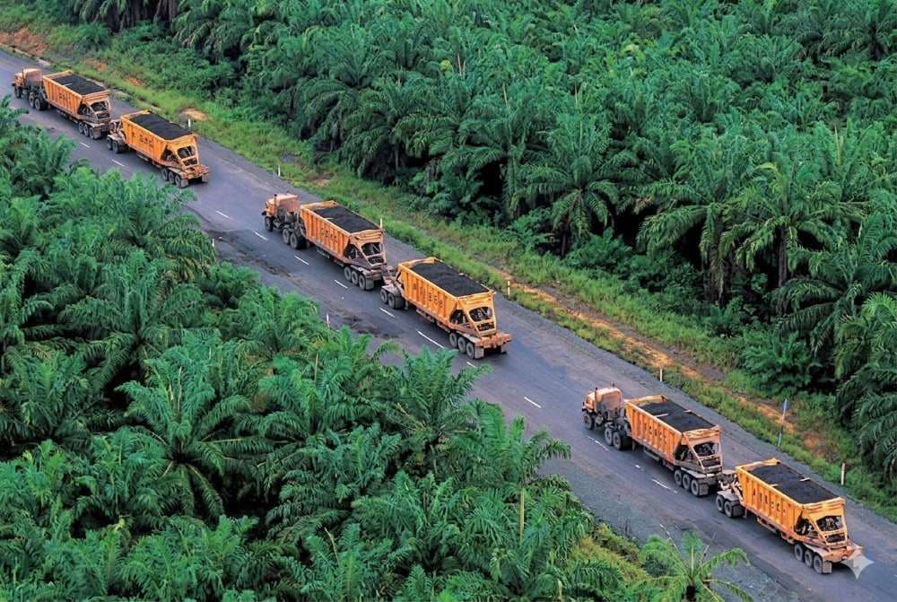 Kegiatan hauling batu bara PT Samindo Resources.