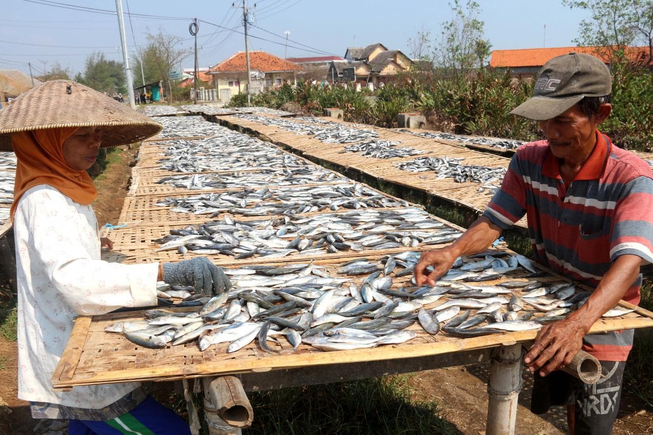 Produksi perikanan Kaltim cukupi kebutuhan MBG