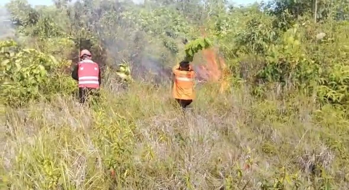 Kebakaran Hutan dan Lahan yang terjadi di kawasan Balikpapan Selatan pada Rabu, 15 Juli 2026 Pukul 14.00 wita
