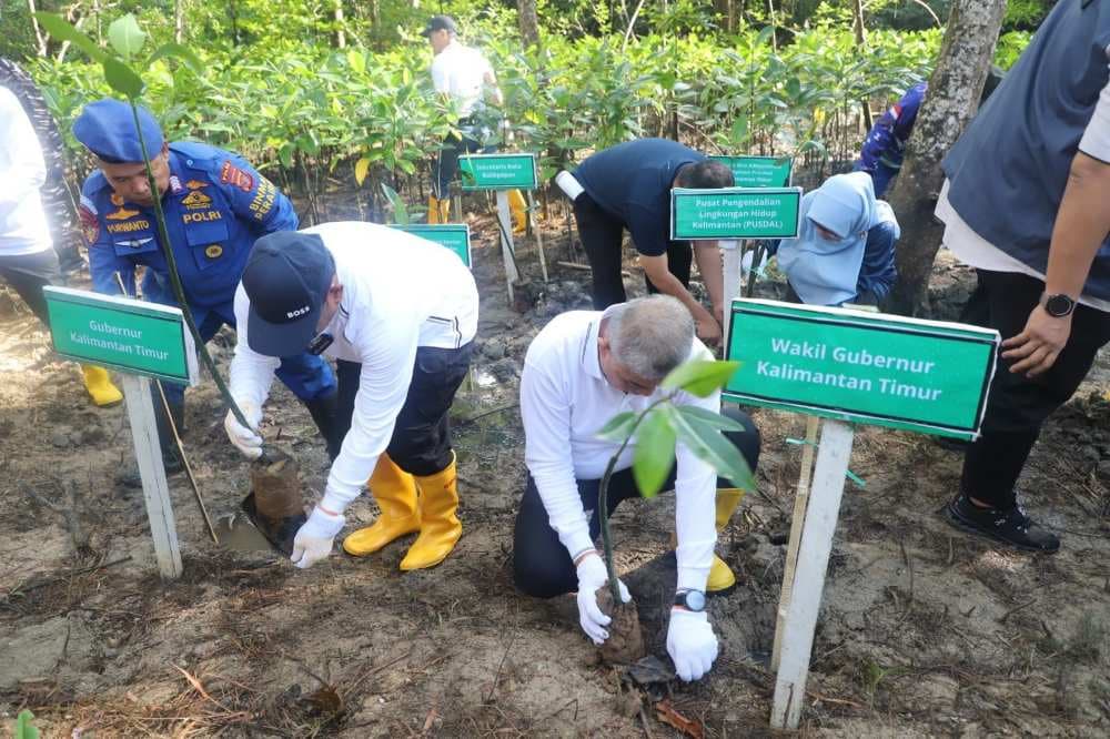 Gerakan Penanaman Mangrove Serentak Nasional yang digelar Kementerian Lingkungan Hidup di Balikpapan.