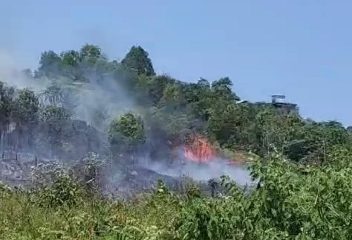 Karhutla Balikpapan Capai 28 Titik, 14 Hektare Lahan Terbakar 