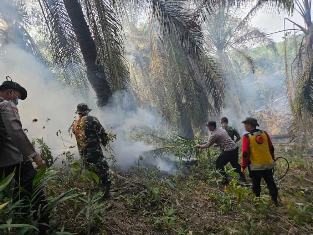 Petugas memadamkan api yang membakar lahan perkebunan di Kutai Timur.