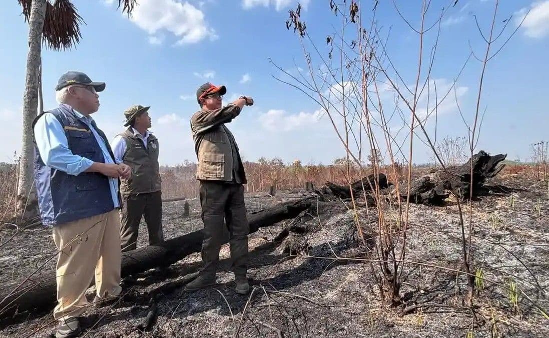 Karhutla Kaltim Belum Reda, Menhut dan BNPB Tinjau Bukit Tengkorak
