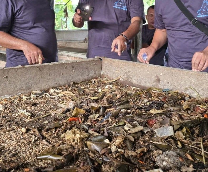 Pengolahan sampah organik menjadi maggot.