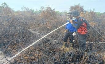 Penanganan Karhutla di Kelurahan Petung, PPU