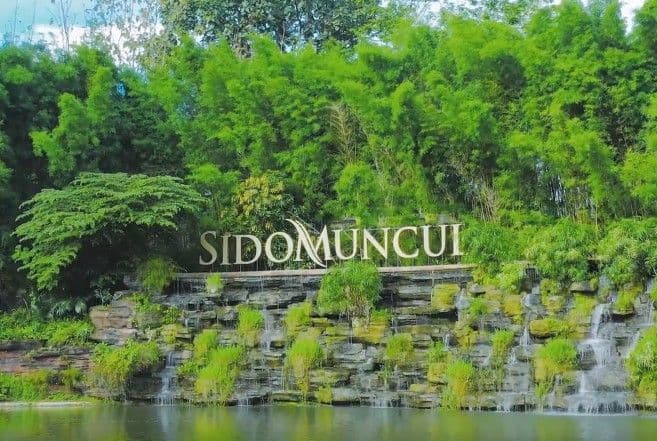PT Industri Jamu Dan Farmasi Sido Muncul Tbk (SIDO) bagikan dividen tahun 2026 sebesar Rp10 per saham.