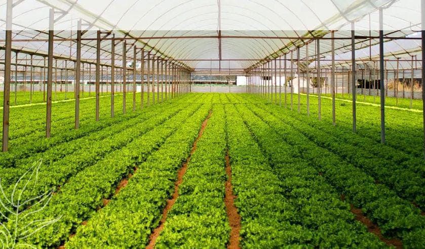 Tarik Minat Generasi Muda, Distan PPU Modernisasi Pertanian