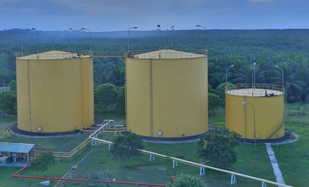Pemkab Kutai Timur menawarkan investasi pabrik hilirisasi sawit di KEK MBTK melalui program IPRO.