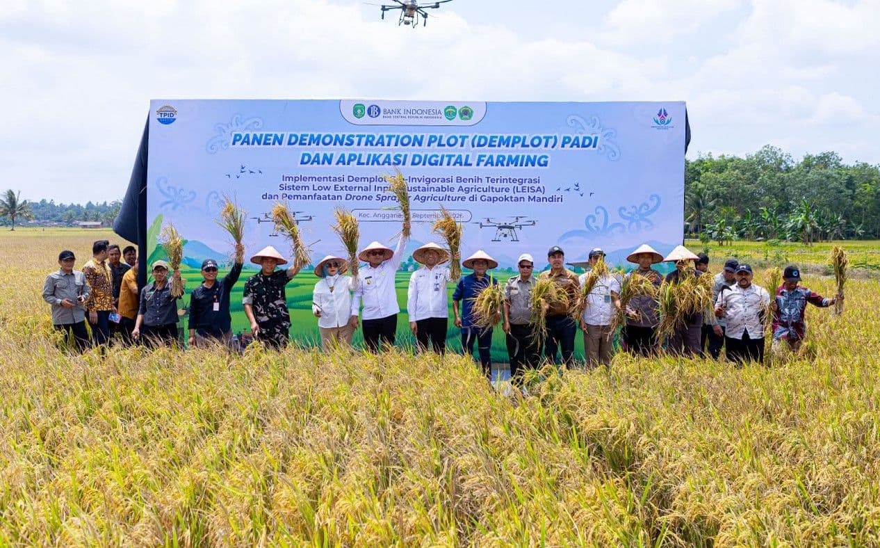 Panen demplot tersebut berlangsung di Gapoktan Mandiri, Kecamatan Anggana, Kukar, Kamis (10/9/2026)