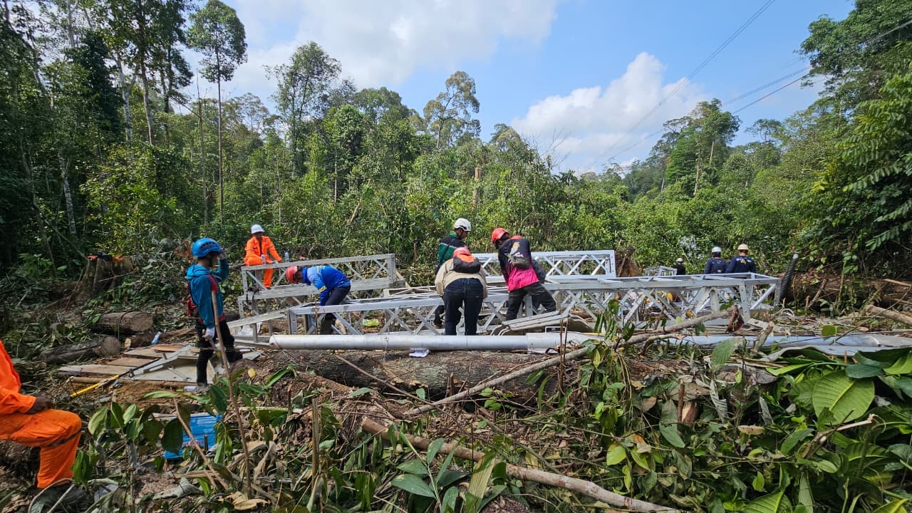 Pohon Tumbang Robohkan 2 Tower SUTT, PLN Kebut Pemulihan Listrik Berau